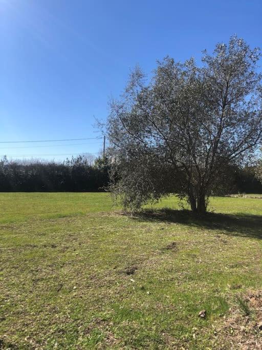 Gite La Lezardiere Acces Prive Canal Du Midi ** Castelnaudary Εξωτερικό φωτογραφία
